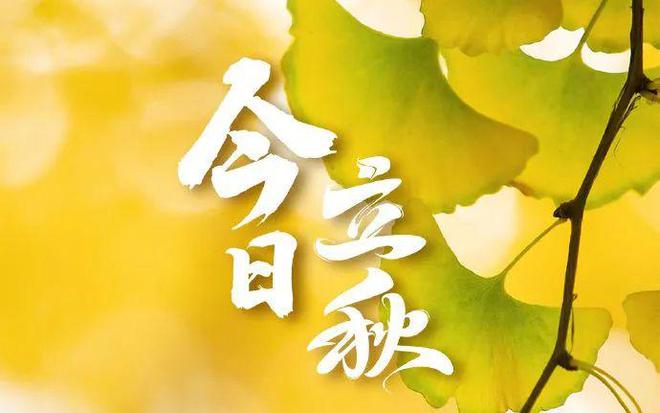 喝下秋天的第一杯奶茶就是秋天了吗？聊聊立秋那些事