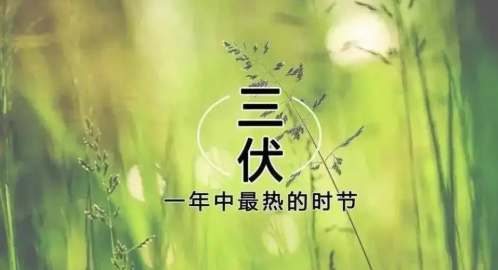 各地三伏天有何差异？今年有秋老虎吗？天气还会热多久？