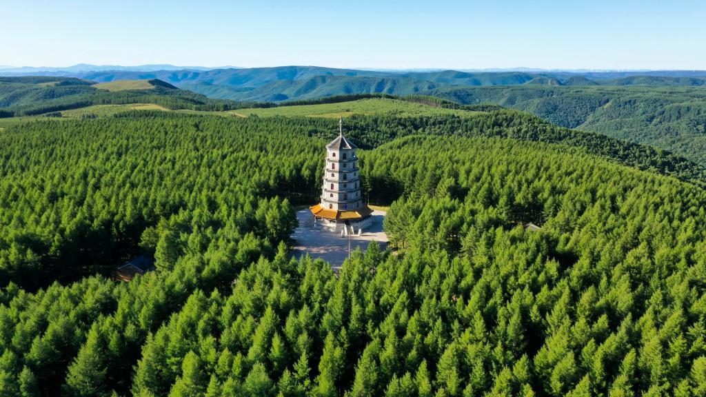全国生态日丨一方林：塞罕坝上续写绿色奇迹