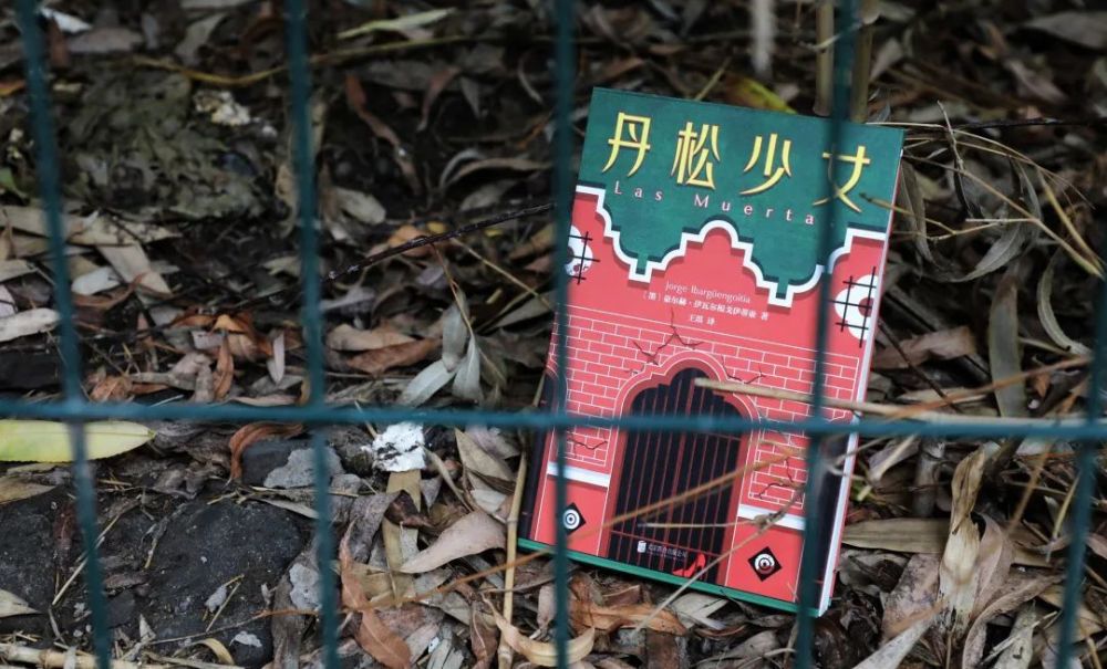 这本小说，比《孤注一掷》更让人不寒而栗
